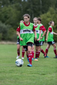 Bild 226 - Frauen SG NieBar - HSV 2 : Ergebnis: 4:3